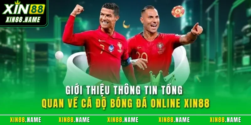 Cá Cược Bóng Đá XIN88| Lựa Chọn Hàng Đầu Về Thể Thao Online 2 Giới thiệu thông tin tổng quan về cá độ bóng đá online XIN88